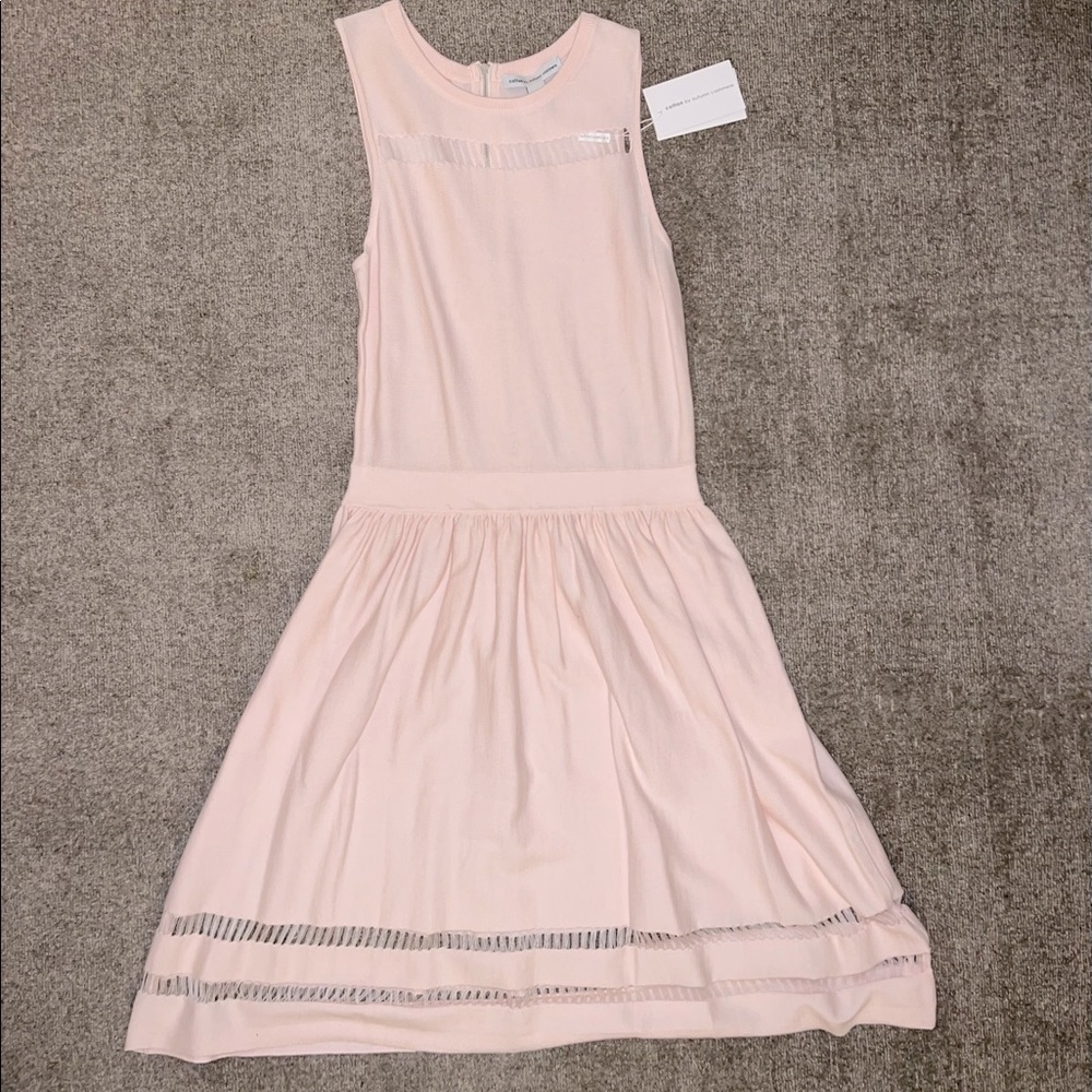 Cotton by Autumn Cashmere blush pink knit dress